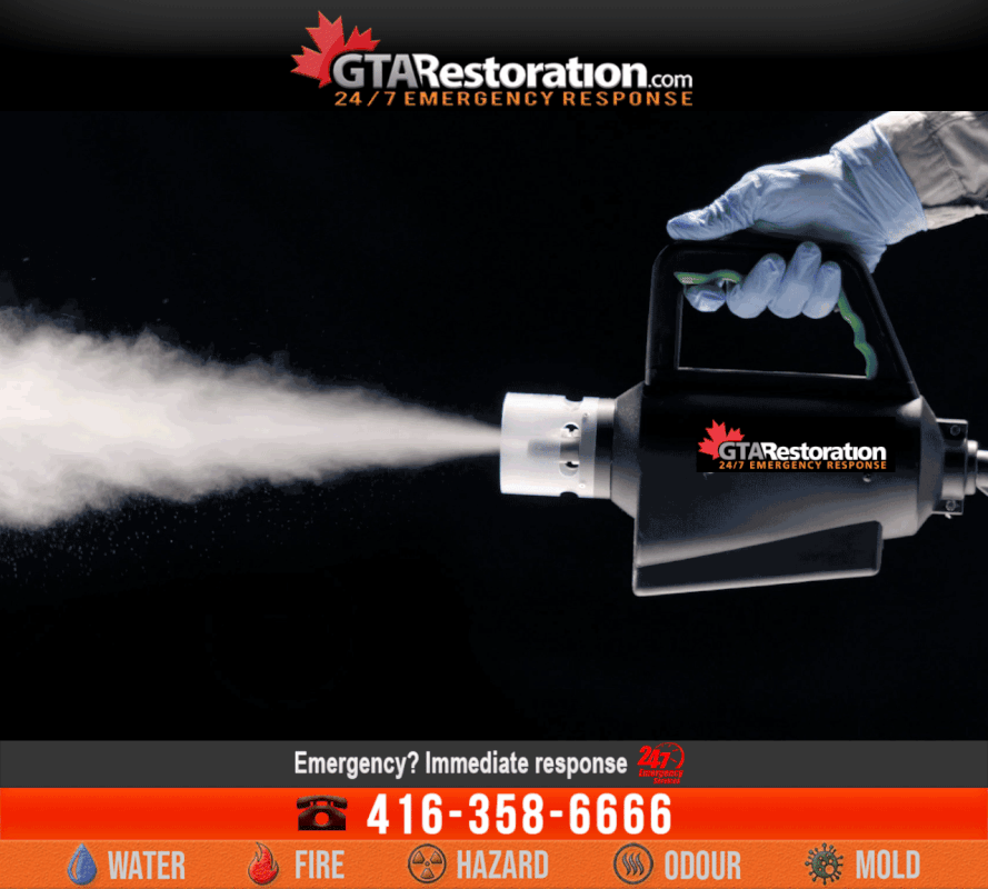 cordless-electrostatic-handheld-sprayer-by-victory-gta-restoration